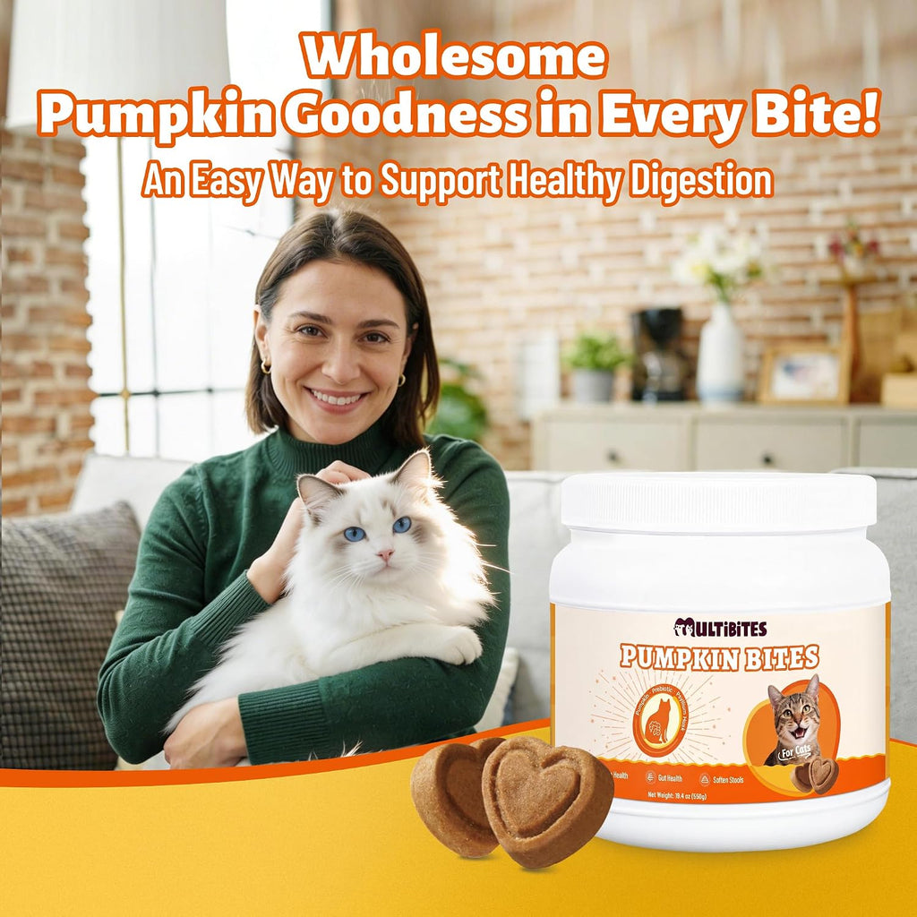 19.4oz Pumpkin Cat Treats for Digestive Health