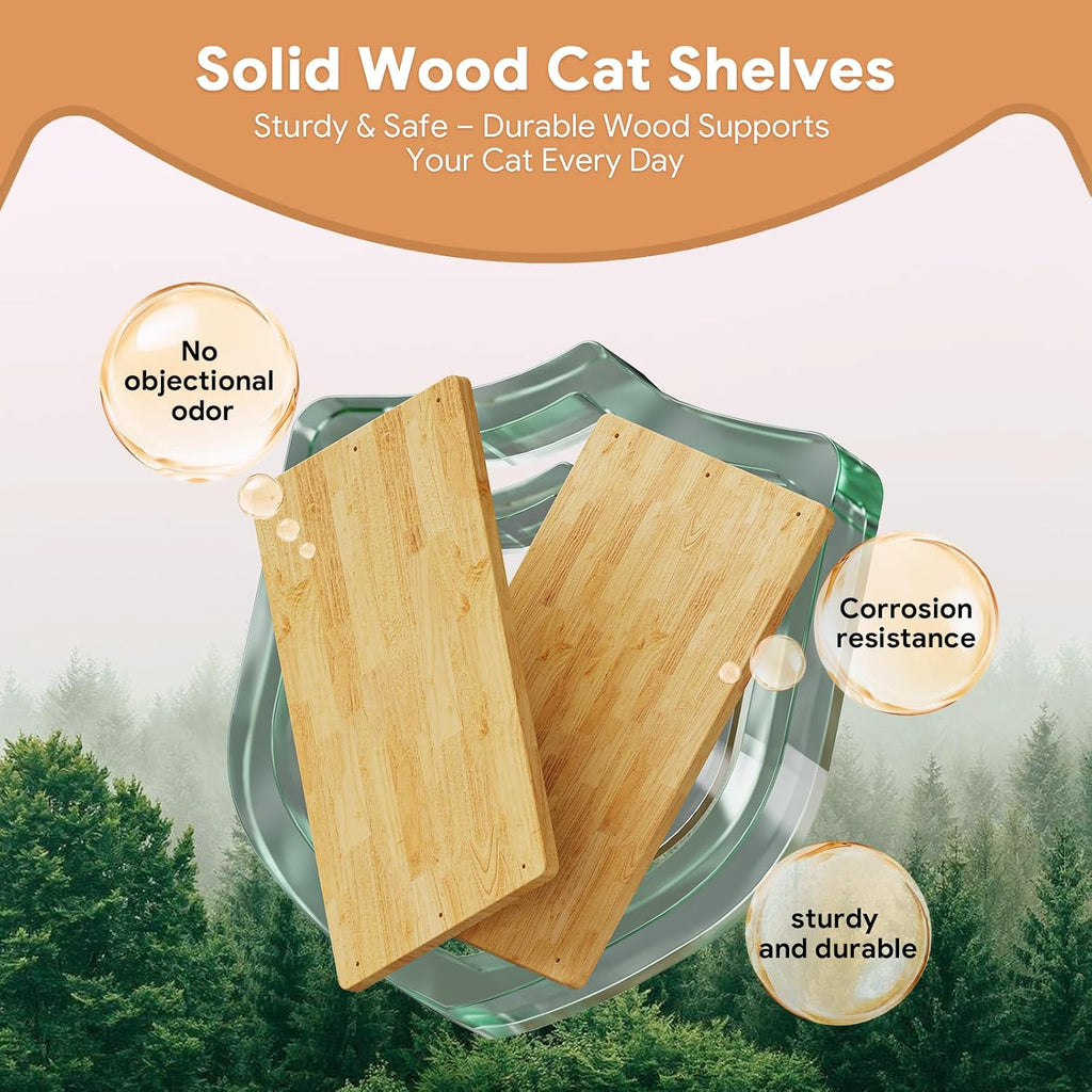 3Pcs 16.5"×10" Large Cat Wall Shelves - Wall Mounted Cat Shelves, Natural Wood with Fixtures for Large Cats and Kittens for Household Pets Sleeping, Playing, Climbing