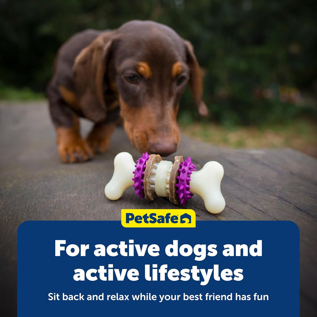 PetSafe Busy Buddy Bristle Bone, Large, Helps Keep Your Dog's Teeth Clean, Long-Lasting Playtime