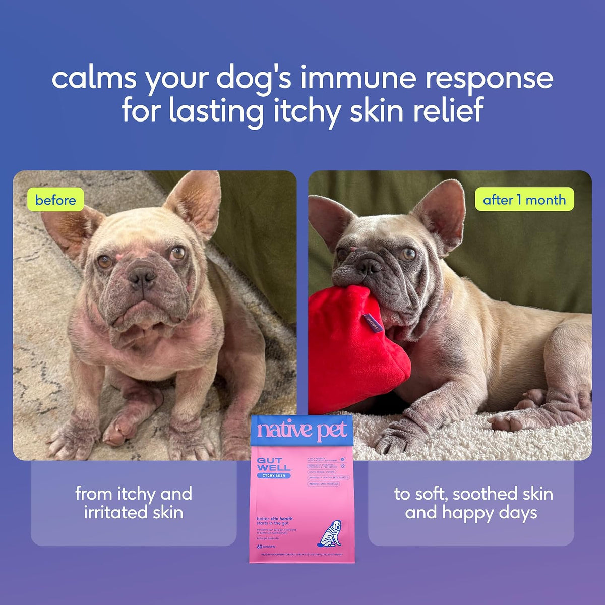 Native Pet Itchy Skin - Dog Itching Skin Relief - Vet-Formulated Gut-Skin Support, Seasonal Allergies, Healthy Skin Barrier - 120 Scoops