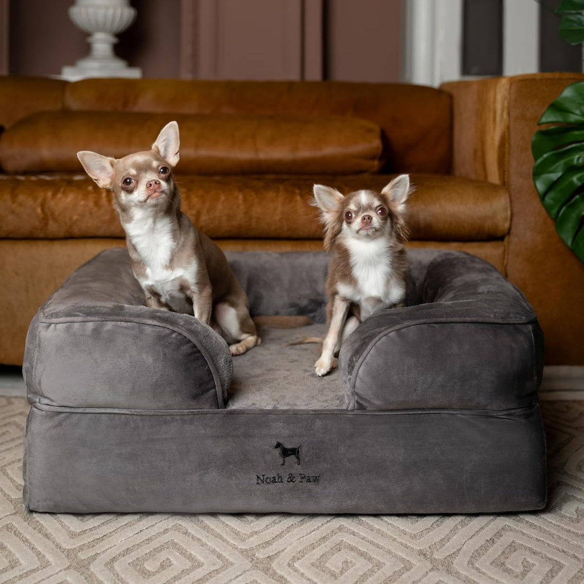 NOAH & PAW Dog Bed, Orthopedic Memory Cooling Foam (2X Base) 28x23x11in