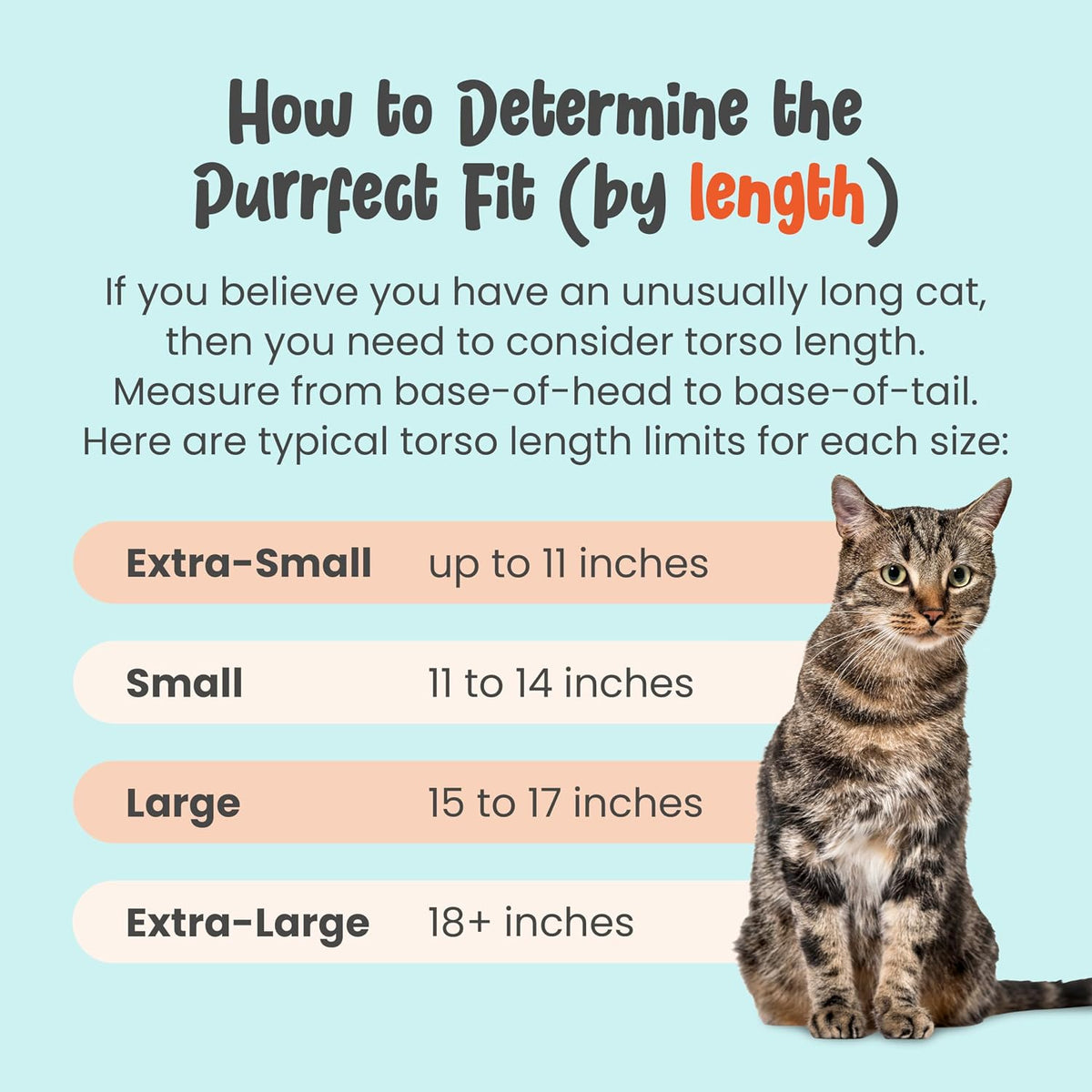 Cat-in-the-Bag Cozy Comfort Carrier - Large Light Blue Cat Carrier Soft and Pet Carrier Administration, Grooming, Vet Visits, Dental Care, and Nail Trimming