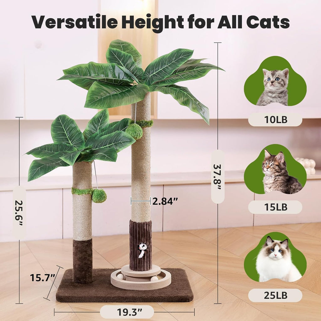 Woochpet 2Cat Posts with Cat Toys,Scratching Post for Adults Cat or Kitten
