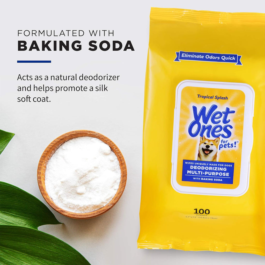 Wet Ones for Pets Deodorizing Dog Wipes, Tropical Splash, 100 Count | Baking soda formula, moisture-lock seal keeps cloths fresh, suitable for daily grooming between baths 