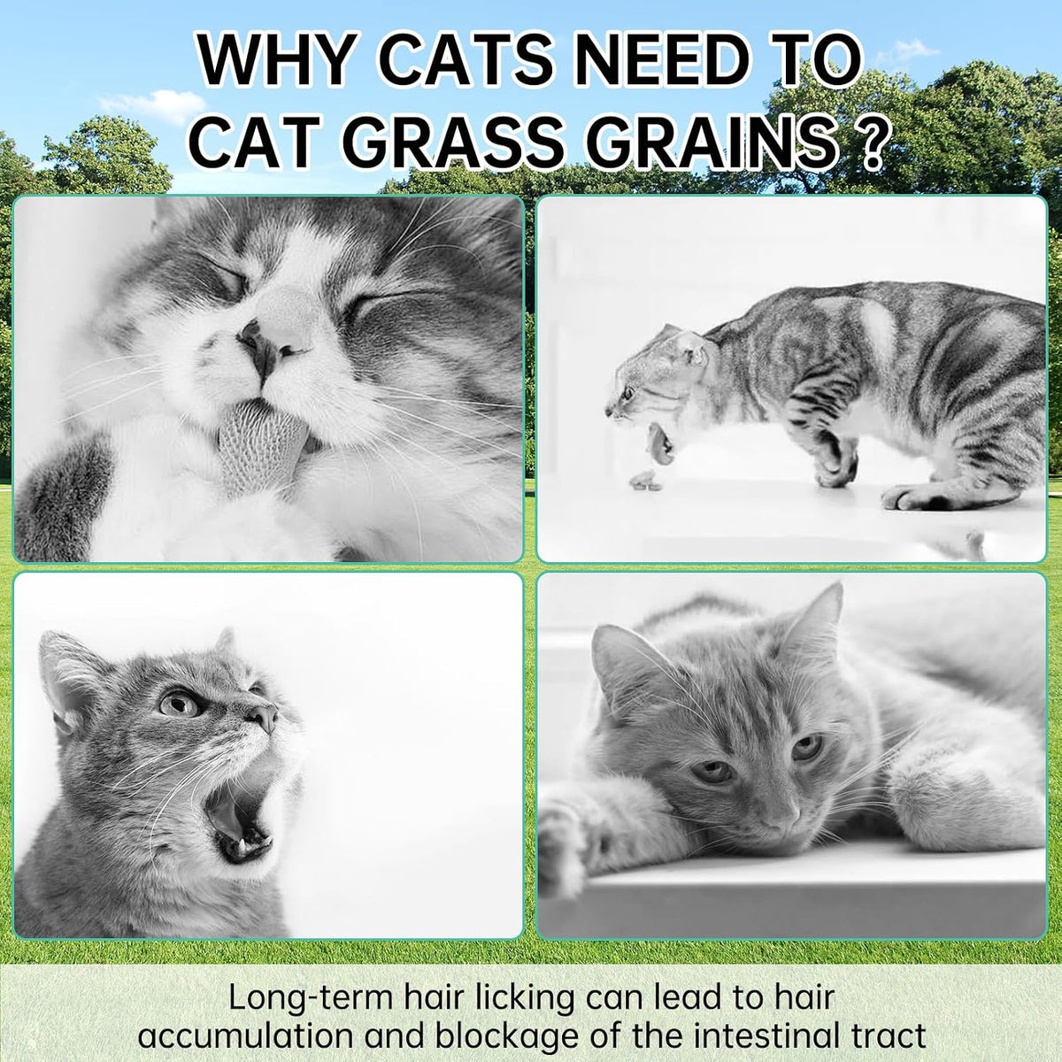 Freeze-Dried Cat Grass Dental Treats, Hairball Control, 80g