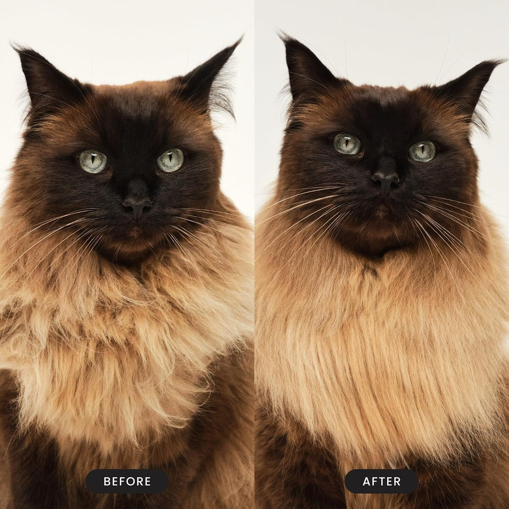Pet Teezer Cat Brush for De-Shedding Short to Medium Fur, Green
