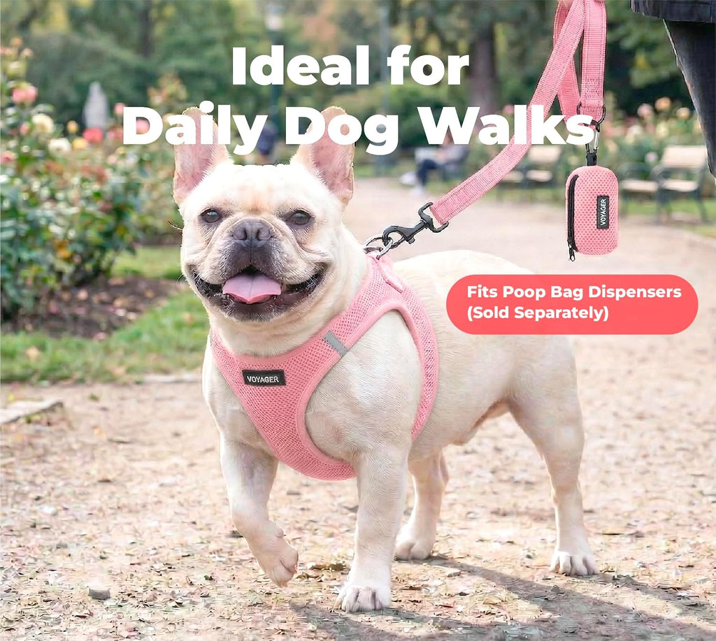 Best Pet Supplies Voyager Nylon Dog Leash - Pink, Large