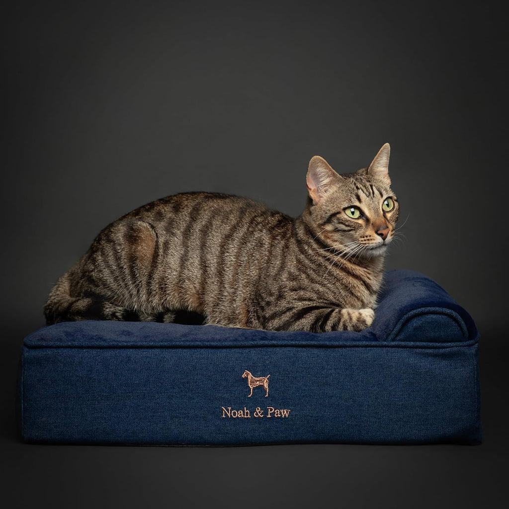 NOAH & PAW Small Cat & Dog Bed Orthopedic Cooling Memory Foam 20x15x6.5