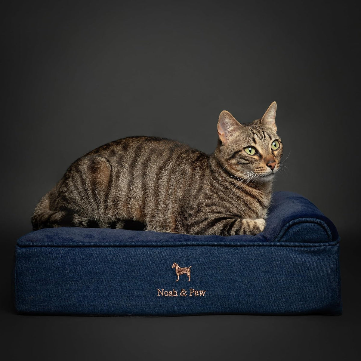 NOAH & PAW Small Cat & Dog Bed Orthopedic Cooling Memory Foam 20x15x6.5