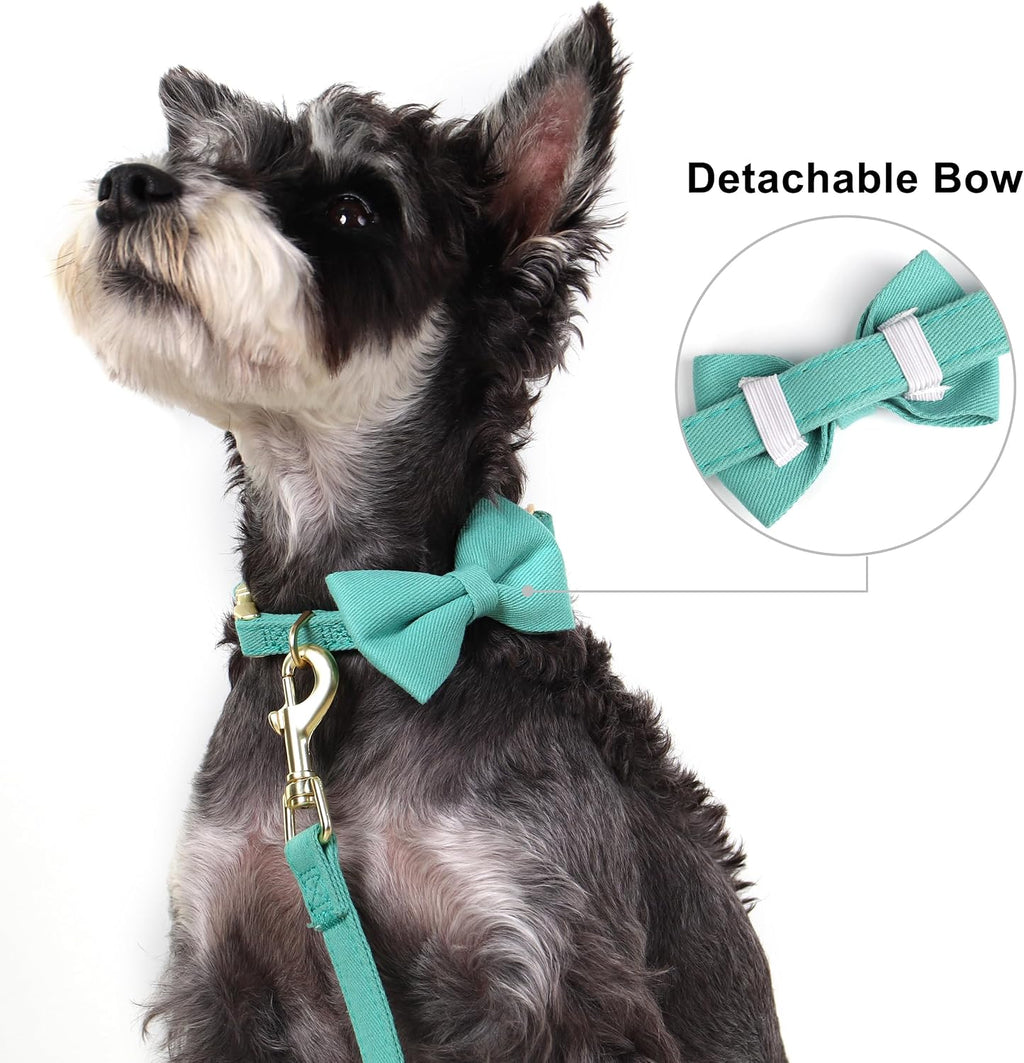 Beirui Cute Small Dog Harness Collar and Leash Set, Green,XS,Chest 13-28"
