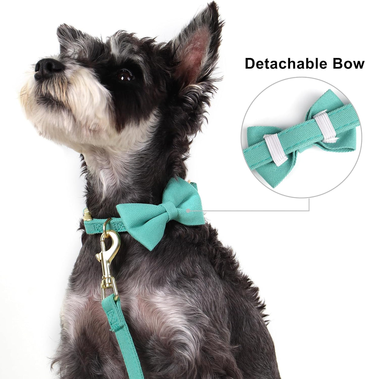 Beirui Cute Small Dog Harness Collar and Leash Set, Green,XS,Chest 13-28"