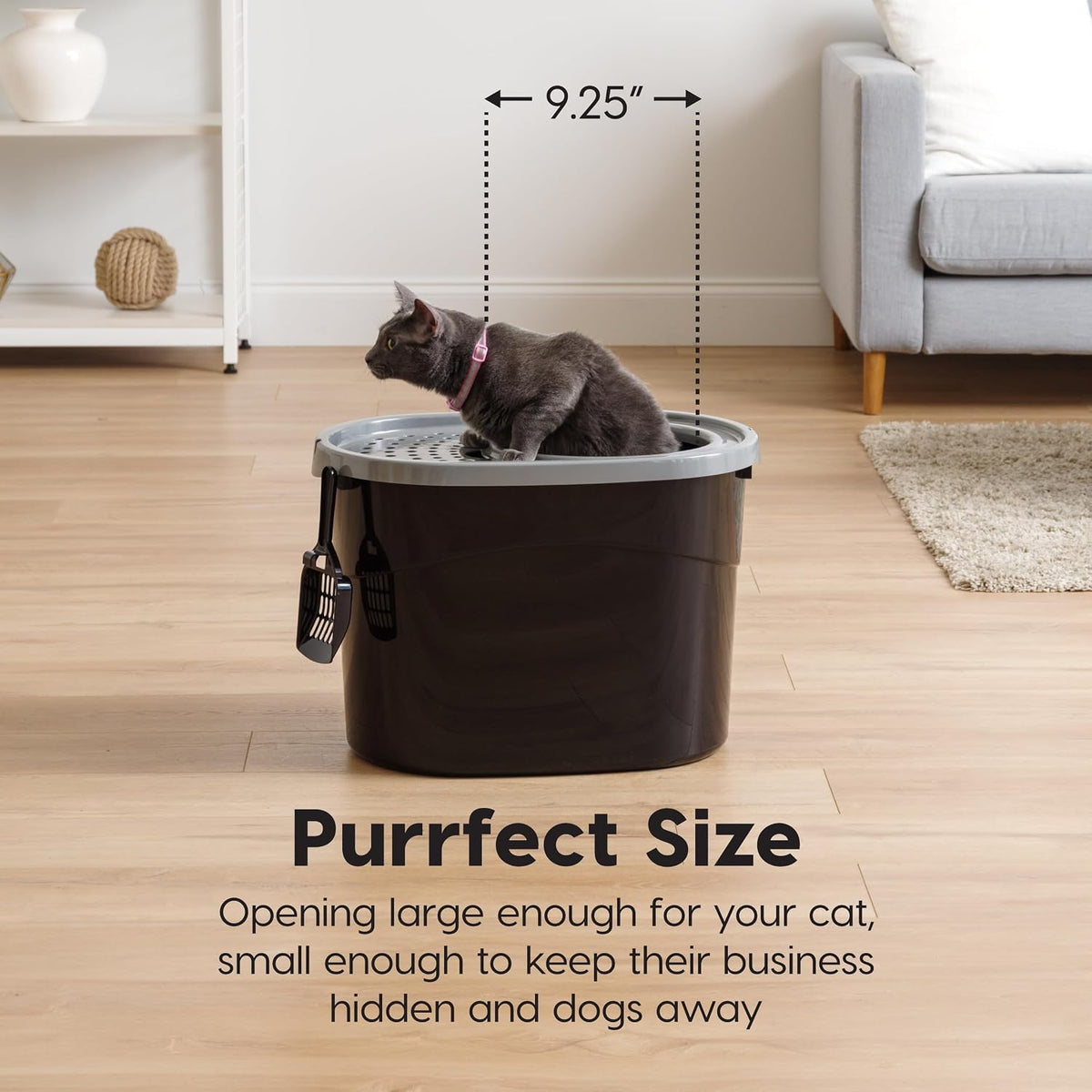 IRIS USA Large Top Entry Cat Litter Box, Hooded Privacy, Black/Gray | Multi-Cat Households, Protected Interior, Enclosed Top Access, Dog Proof Pan, Reduced Tracking, Odor Trapping