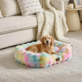 Washable Orthopedic Dog Bed,Rectangle Fleece & Luxury Pet Bed with Removable Zipper Cover & Anti-Slip Bottom,Suitable for Medium Large Dogs,30x25x7.5inches,Rainbow