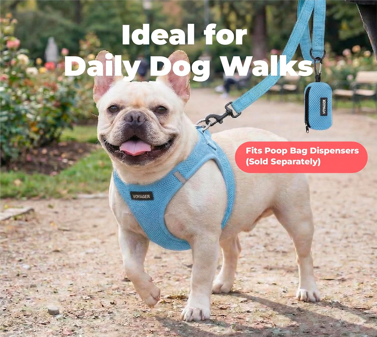 Best Pet Supplies Voyager Nylon Dog Leash - Baby Blue, Medium