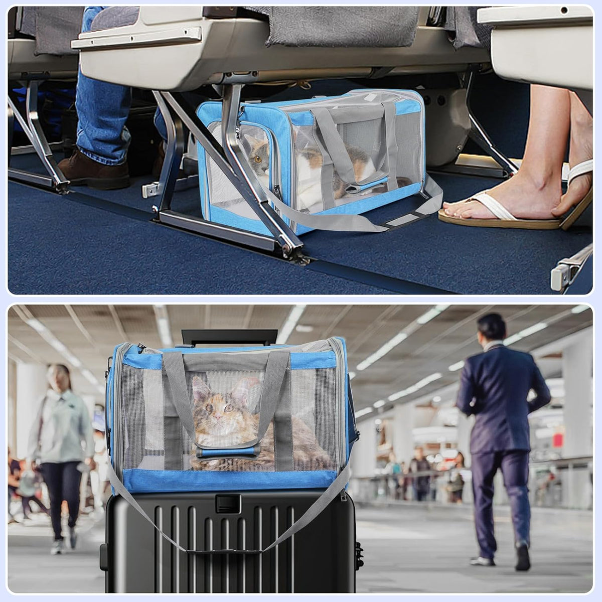 Pet Carrier for Large Cats of 20 Lbs, Collapsible Carrier Bag for Big Cat or 2 Kittens,Soft Sided Puppy Carrier with Sturdy Travel Transport Strap, Adequate Ventilation, 4 Mesh Windows (Blue)