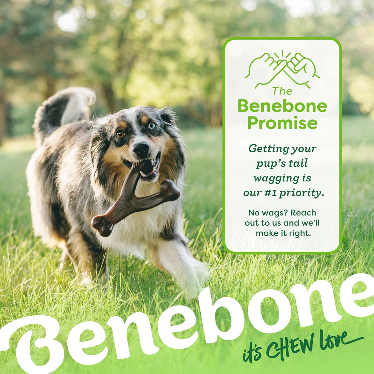 Benebone Wishbone/Dental Durable Dog Chew Toys, Real Bacon, 2 Count, Large (Pack of 8)