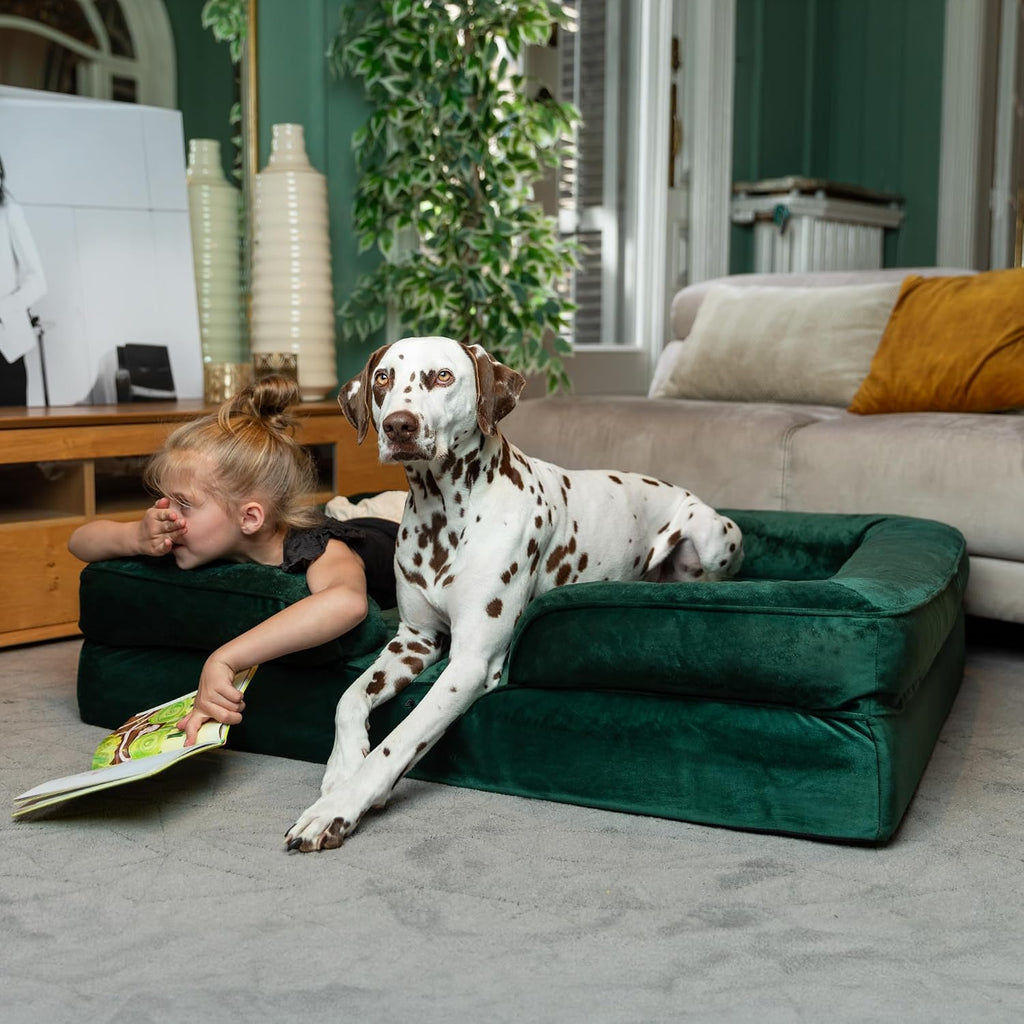 NOAH & PAW Large Dog Bed, Orthopedic Memory Cooling Foam (2X Base) 45x35x11