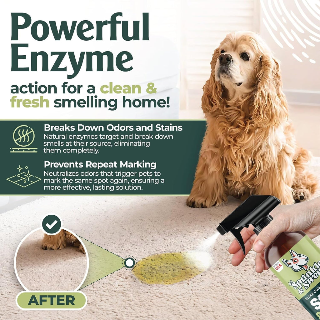 Sprinkle & Sweep: Pet Stain & Odor Enzyme Spray - 24oz - No Scrubbing Concentrated Formula, Dog & Cat Urine & Mess Destroyer, Carpet Spot Cleaning