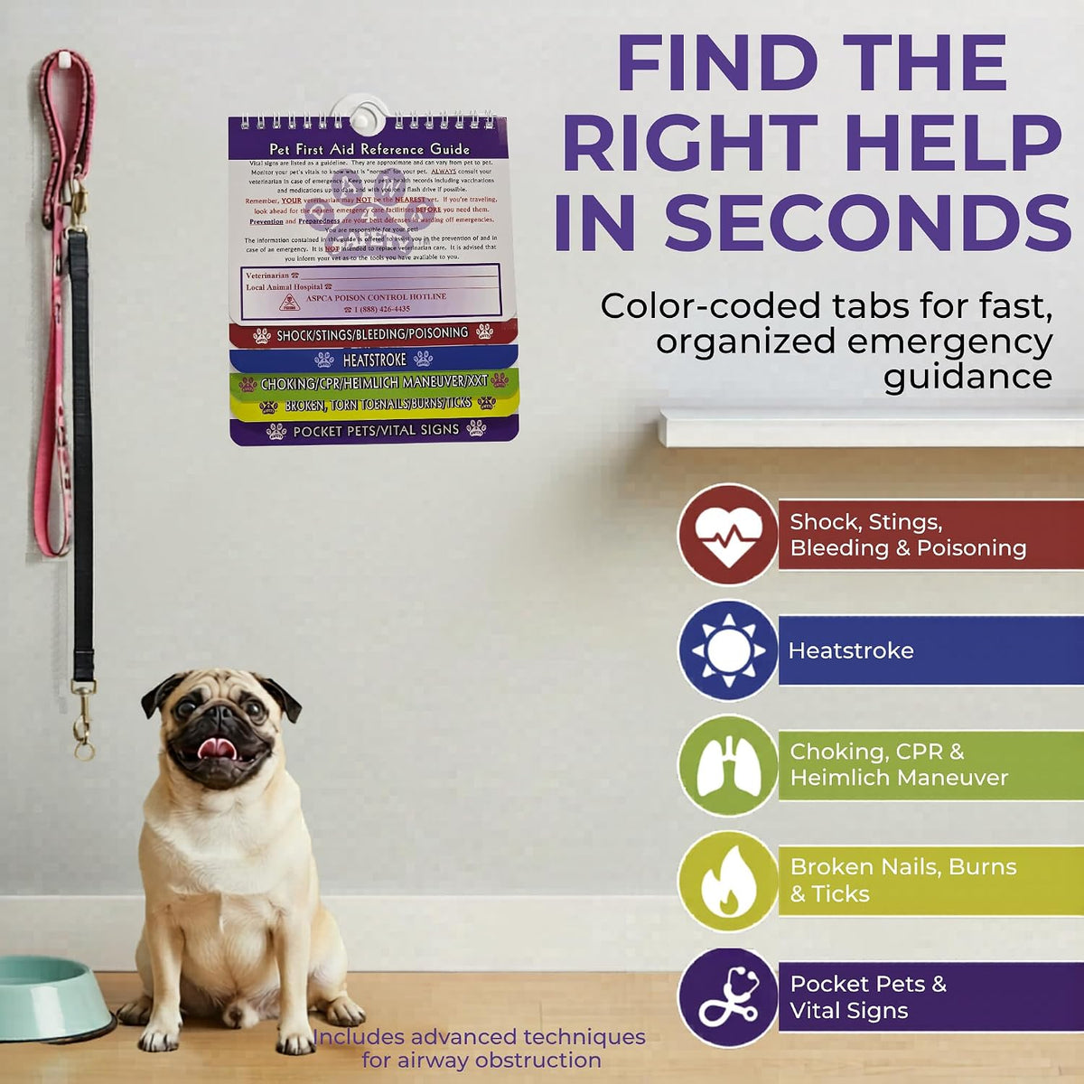 Pet First Aid Reference Guide – 2026 Edition – Dogs, Cats & Pocket Pets