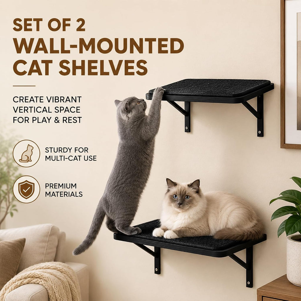 Cat Wall Shelves Set of 2, Black Solid Wood Window Perches with Sisal Mats