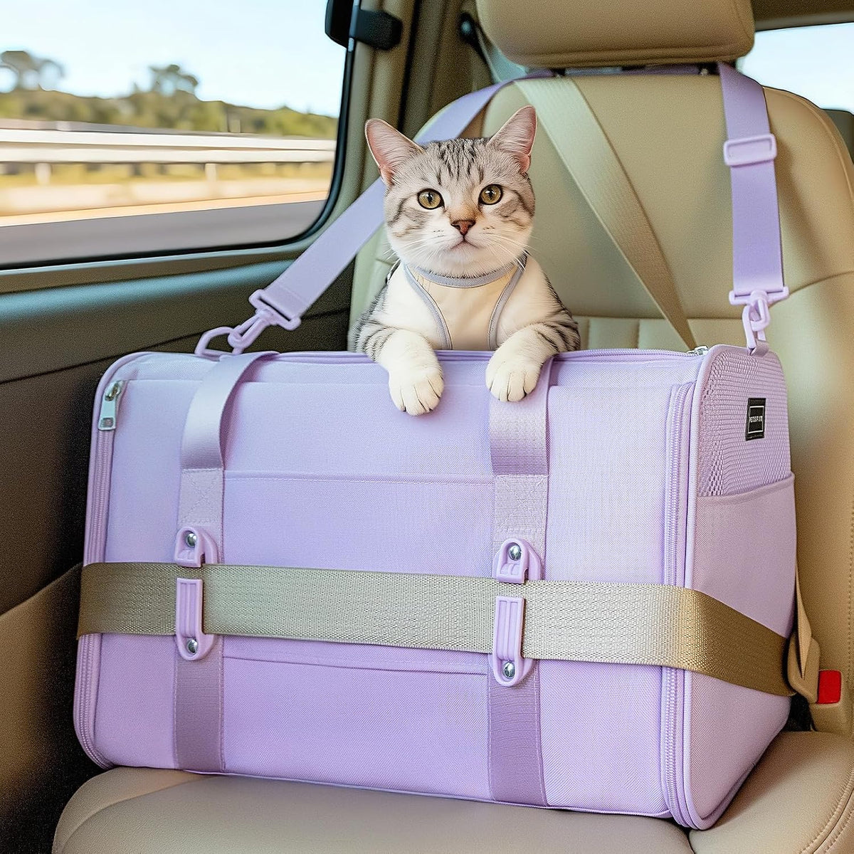 PETSFIT Large Cat Carrier with Patented Safety Buckles,Big Cats Up to 20 lb