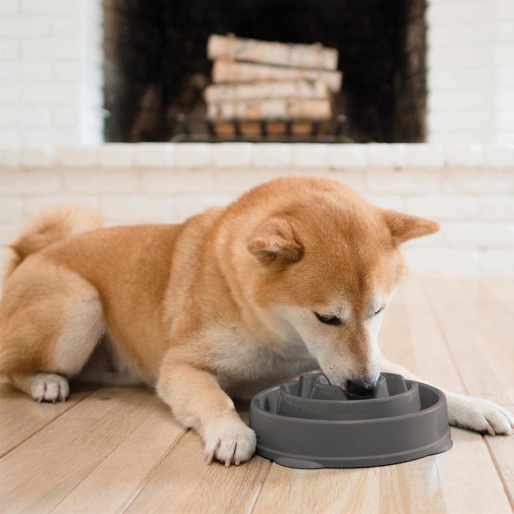 Outward Hound Fun Feeder Slo Bowl Dog Slow Feeder, Drop, Gray, 8.8" | Slows Fast Eaters, Can Aid Digestion, Holds 2 Cups Dry or Wet Food, Non-Slip, Easy Clean, No BPA, Small to Medium Dogs & Cats 