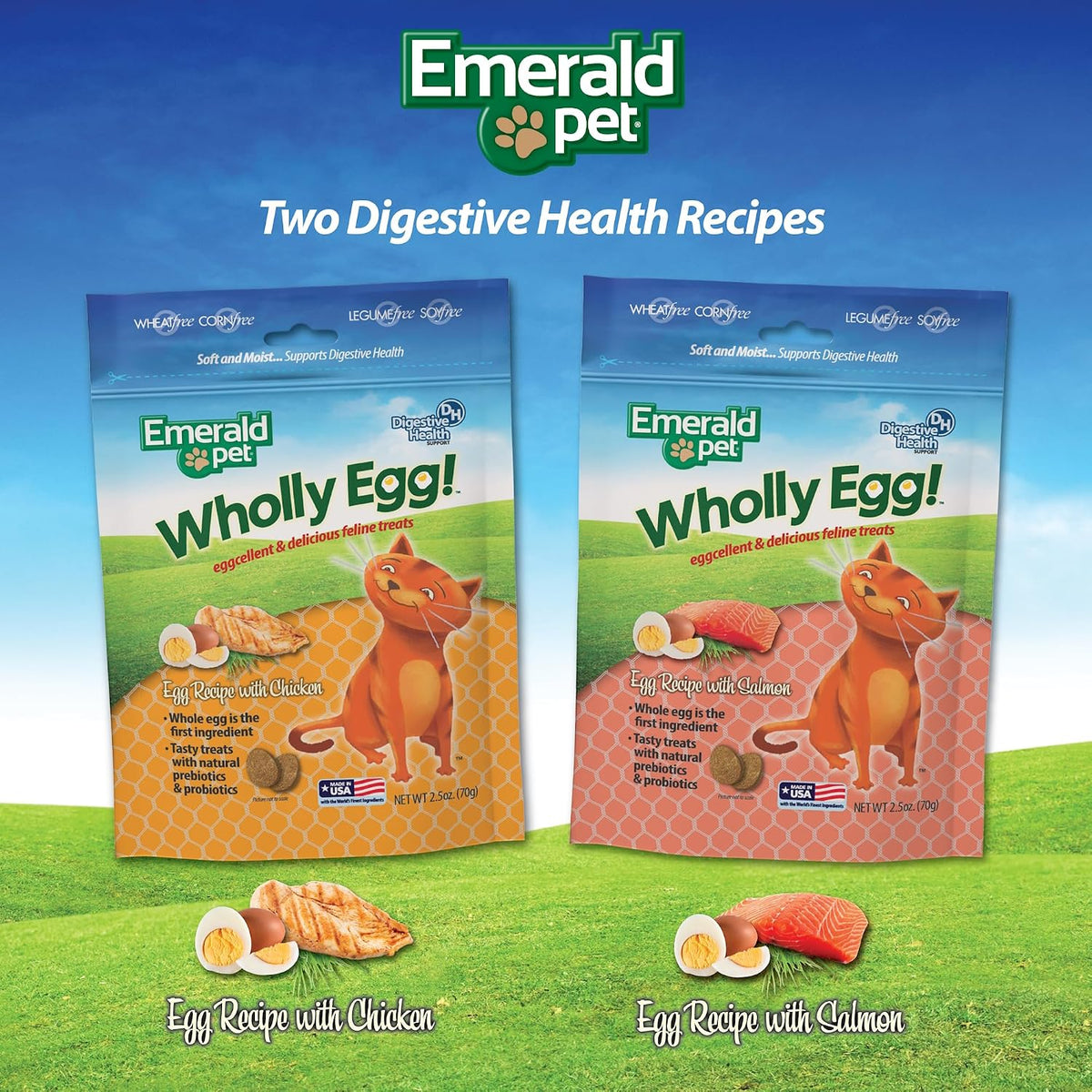 Emerald Pet Wholly Egg Cat Treats for Digestive Health – Soft & Moist Chicken Cat Treats with Natural Prebiotics & Probiotics – Supports Gut Health, 2.5 oz