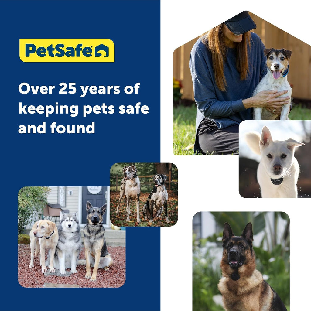 PetSafe GPS Dog Tracker + 3 Month Subscription, Live GPS Tracking