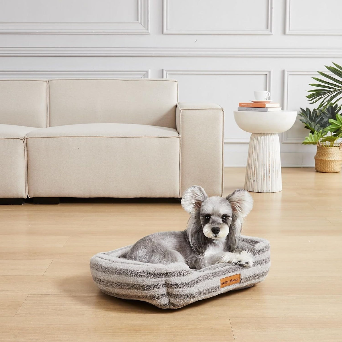 Modern Threads Ultra Soft Plush Pet Bed for Small and Medium Dogs with Elegant Texture and Stylish Design, Removable Washable Cover, Charcoal, (24" L x 20" W x 8" Th)
