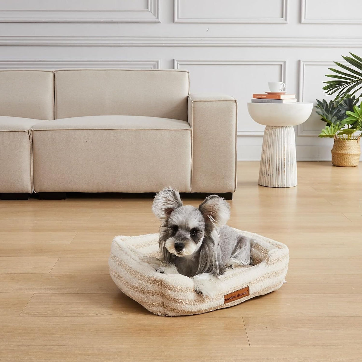 Modern Threads Ultra Soft Plush Pet Bed for Small and Medium Dogs with Elegant Texture and Stylish Design, Removable Washable Cover, Beige, (24" L x 20" W x 8" Th)