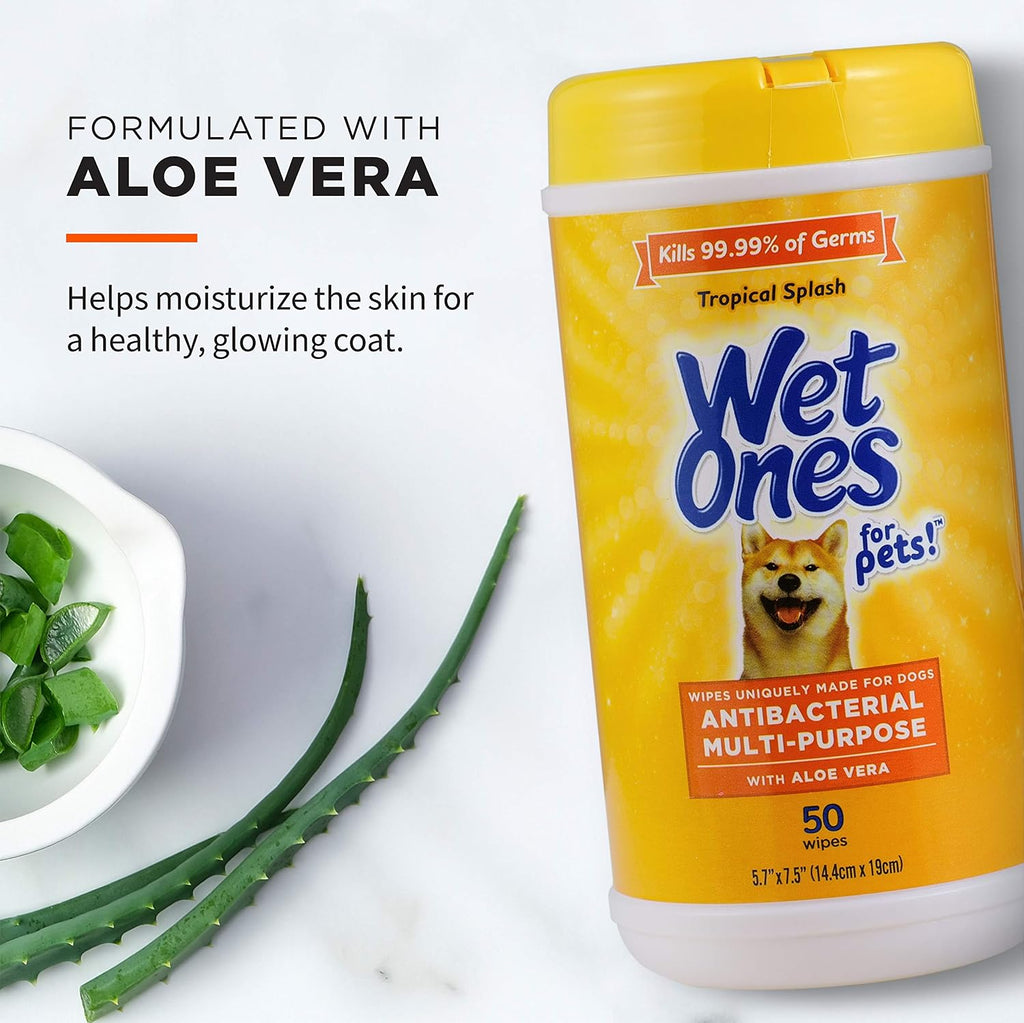 Wet Ones for Pets Antibacterial Dog Wipes, Tropical Splash, 50 Count, 3-Pk | Multi-purpose grooming wipes with aloe vera for paws, face, and body, easy cleanups between baths 