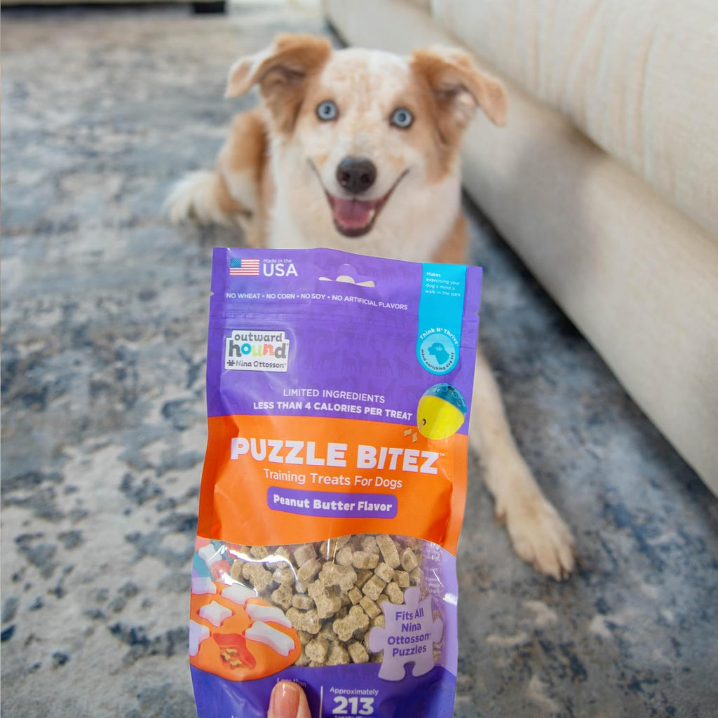 Outward Hound Nina Ottosson Puzzle Bitez Dog Treats, Peanut Butter, 7.5 oz