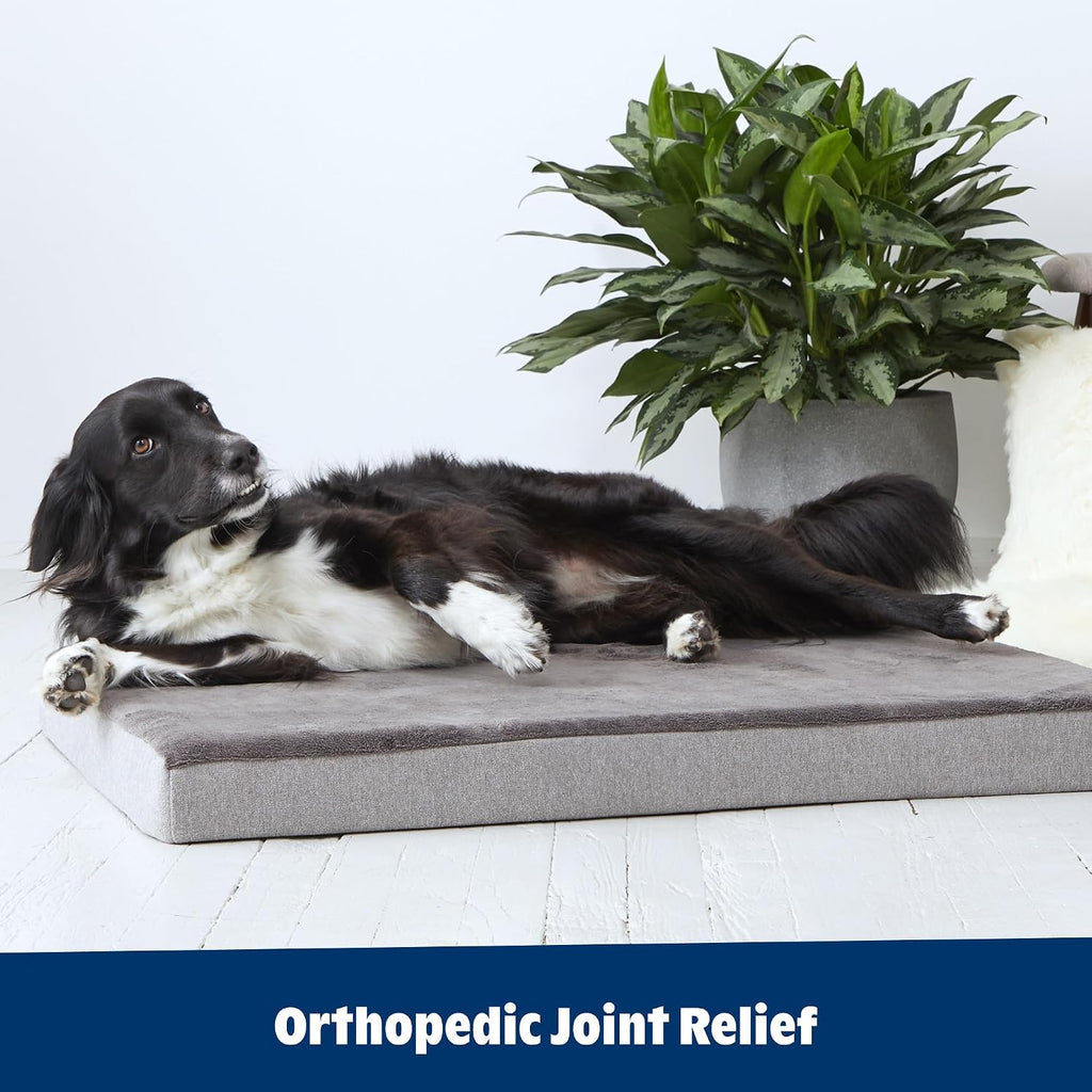 BarkBox Orthopedic Dog Bed - XXL