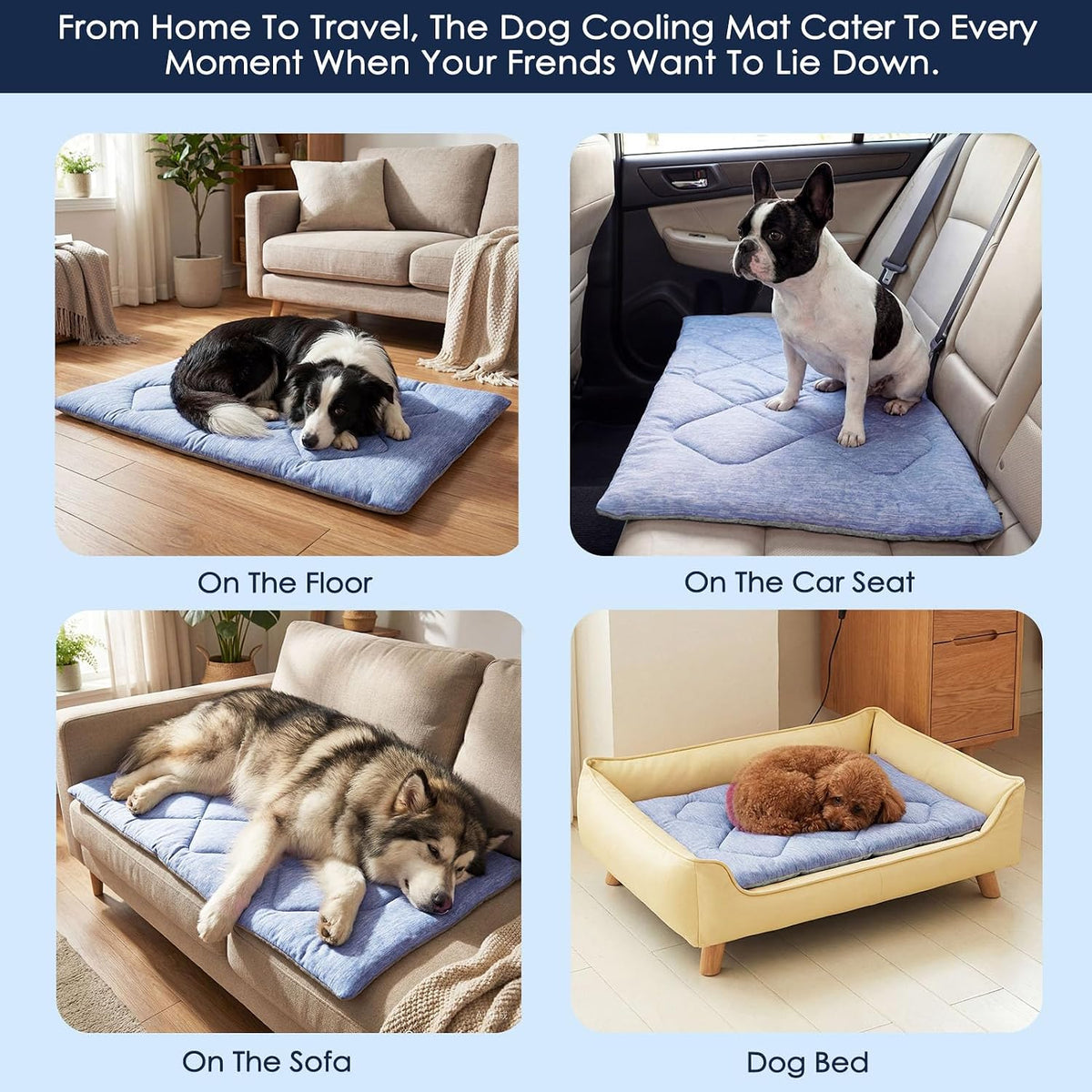 ASENKU Dog Cooling Mat, Portable & Durable Cooling Mat for Dogs, Summer Anti-Slip Breathable Cooling Bed for Large Dogs 60–100 lbs (Golden Retriever, Lab, German Shepherd), 43x32 inches, Blue Diamond