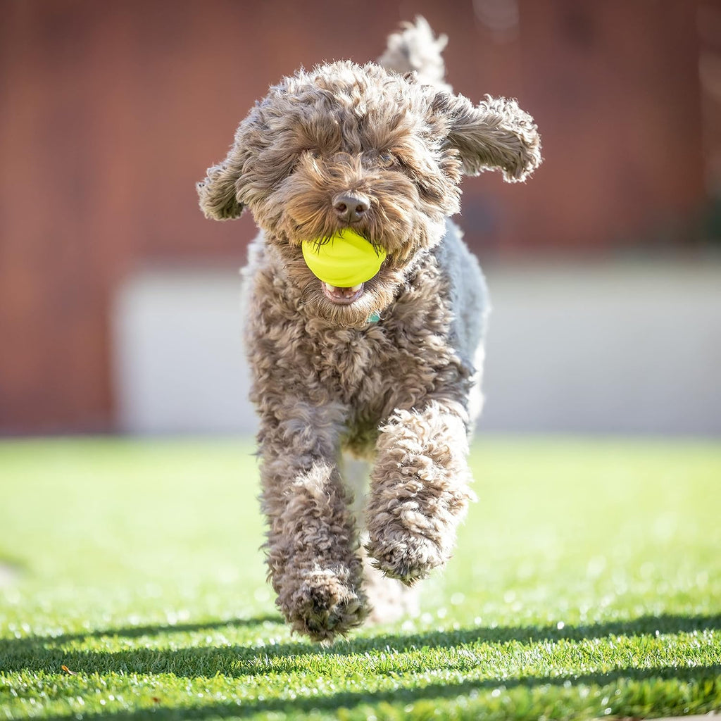 Hyper Pet Fetching Dog Toys - Throwing Ball Dog Toy Made with EVA Foam - Lightweight & Floats on Water,Green