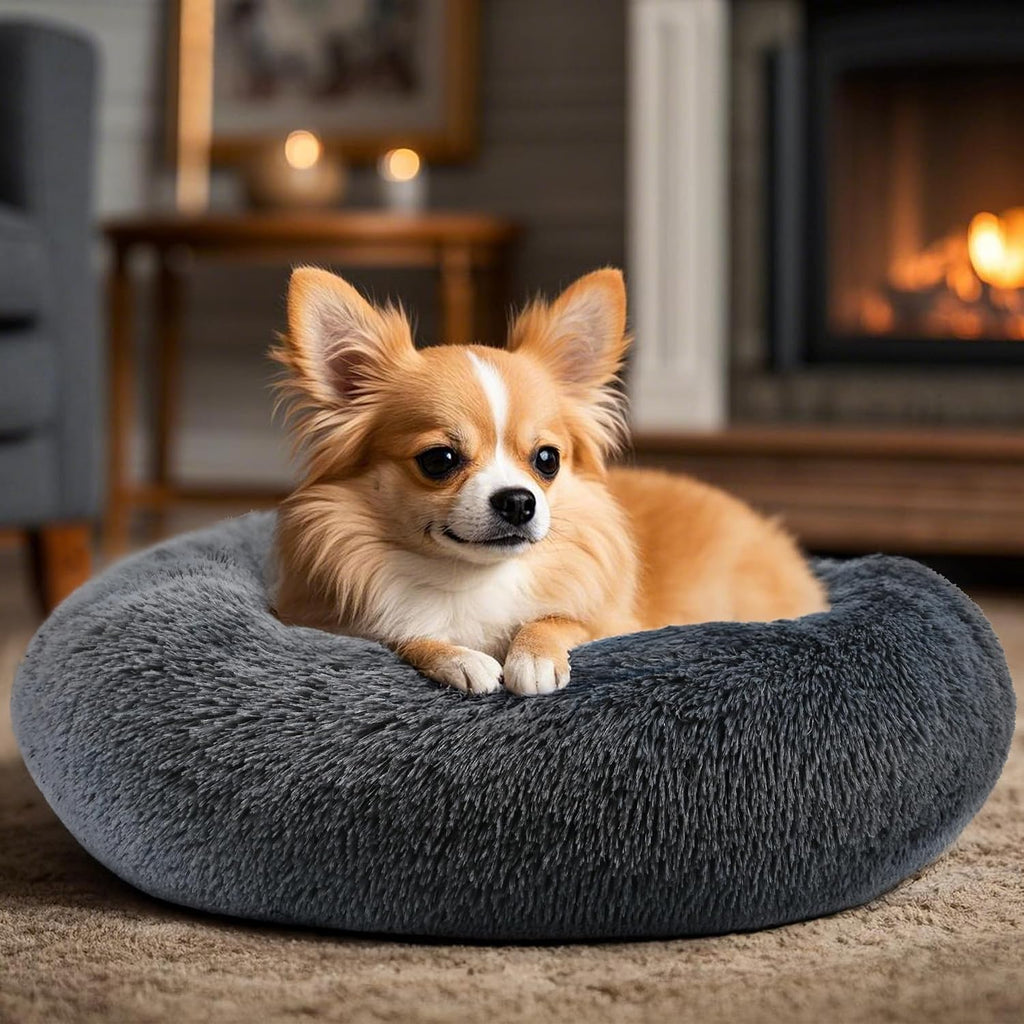 Hoewina Dog & Cat Bed, 20in Cat Beds for Indoor Cats (Dark Grey)