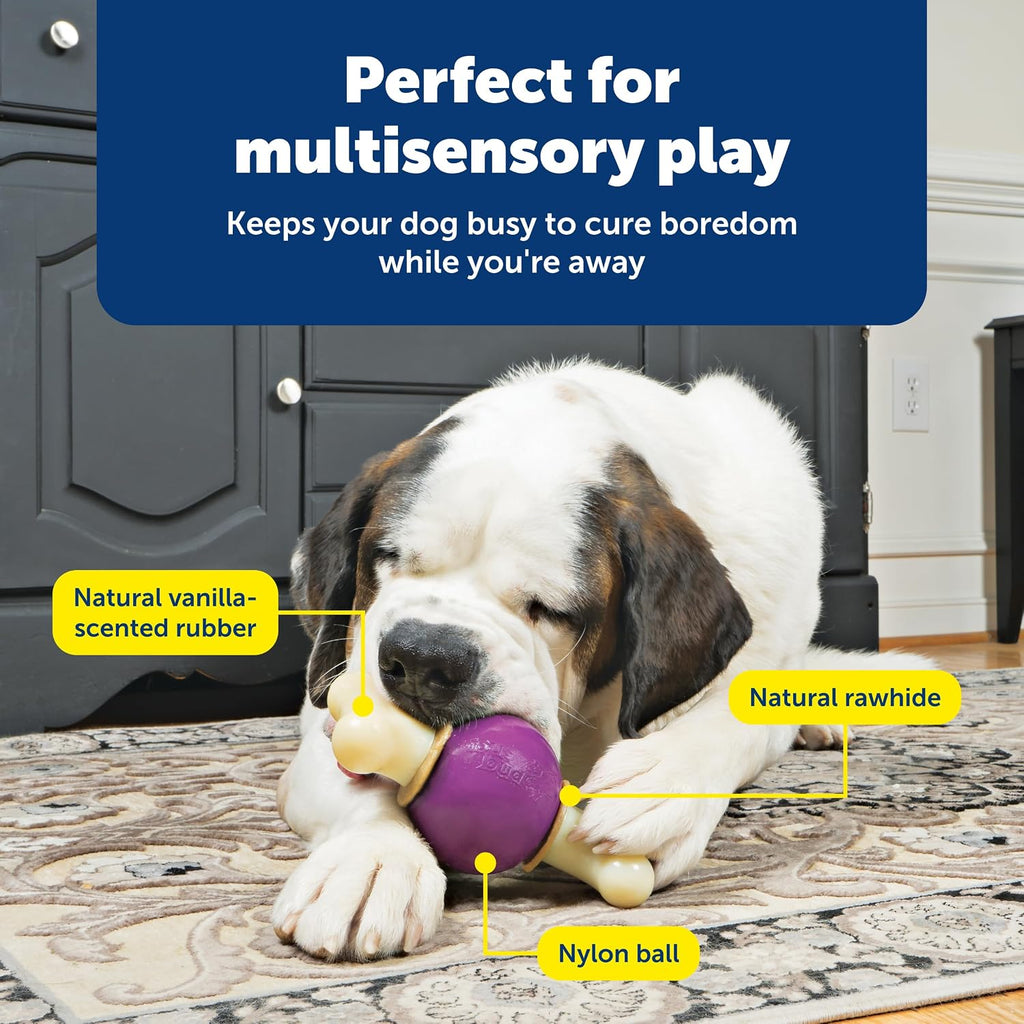 PetSafe Busy Buddy Bouncy Bone Treat Holding Dog Chew Toy, Large