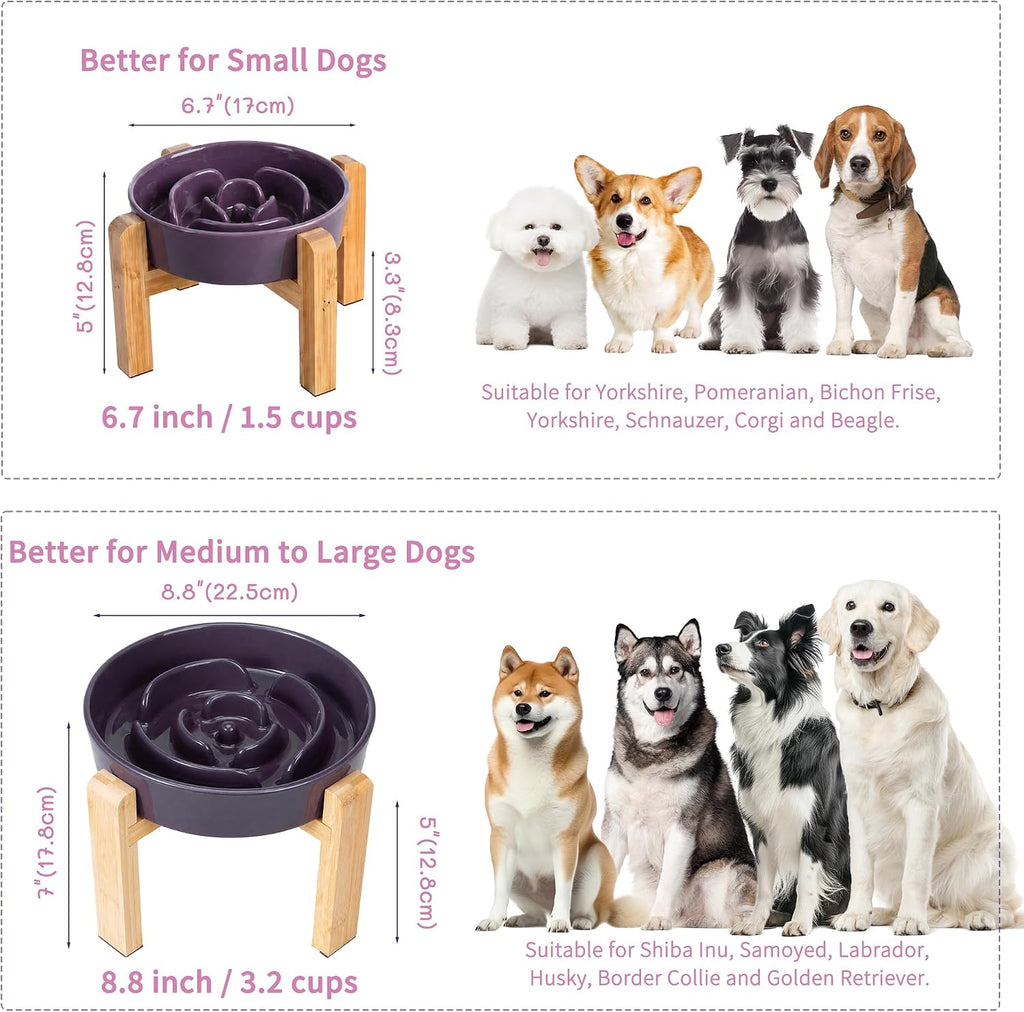 Elevated Slow Feeder Dog Bowl, 8.8" Ceramic Maze Dog Bowl with Stand