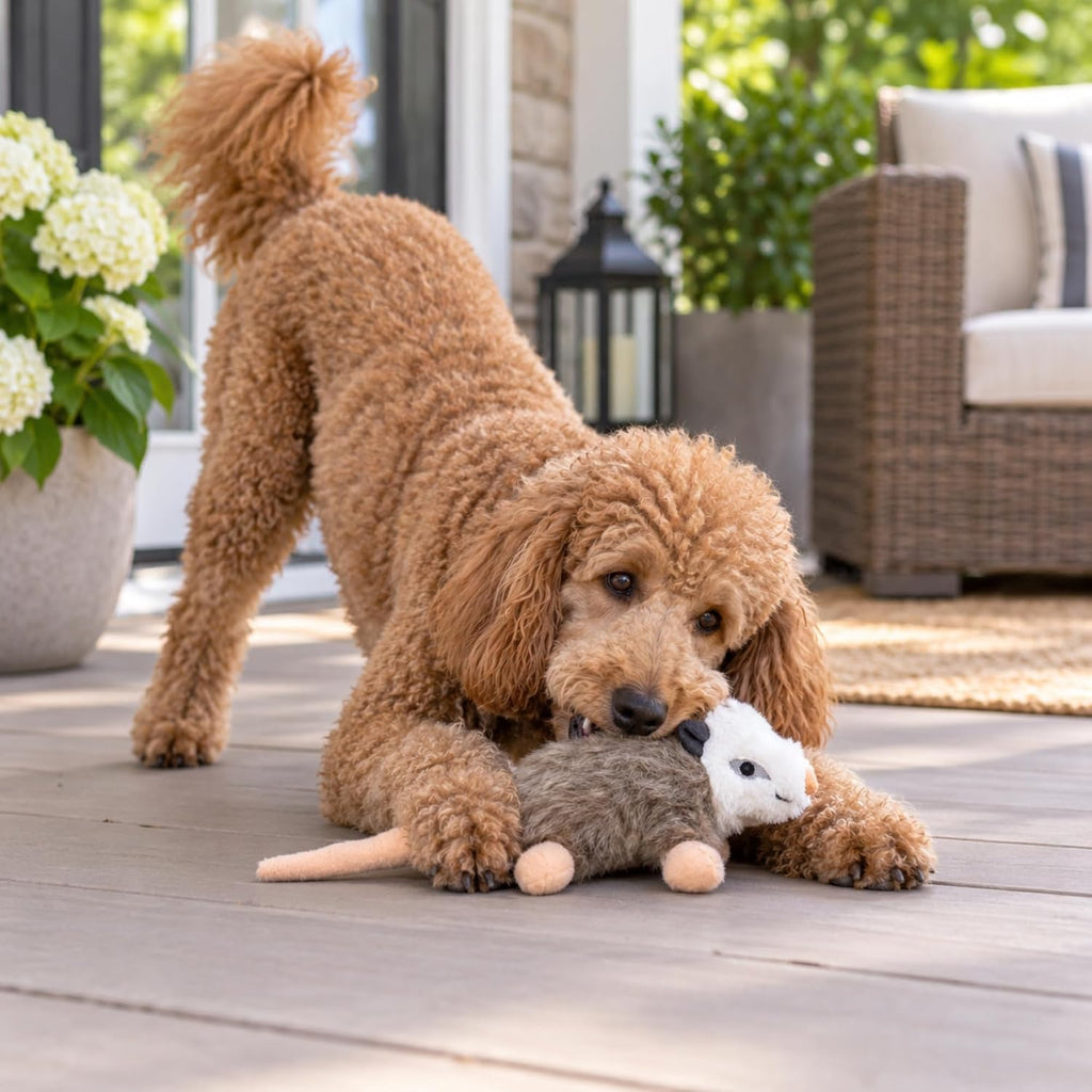 SPOT Woodland Collection Possum Dog Toy – 15” Plush Squeaky Dog Toy with Grunting Squeaker, Durable Stuffed Animal for Medium and Large Dogs
