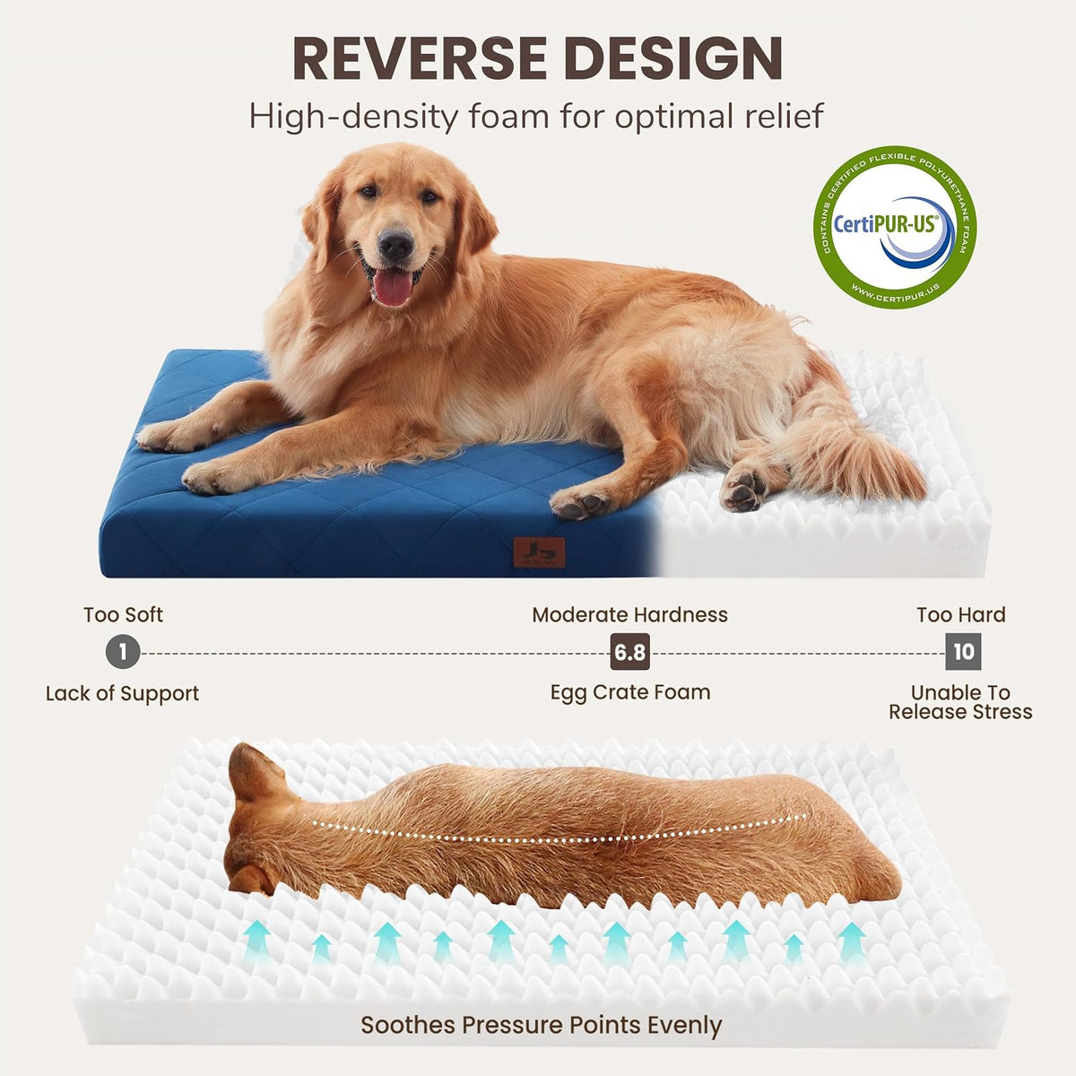 Orthopedic Dog Beds for Medium Dogs, Washable Pet Bed Mat with Removable Cover, Waterproof Egg Crate Foam Puppy Bed Anti Slip, 30" x 20", NOT for Chewers