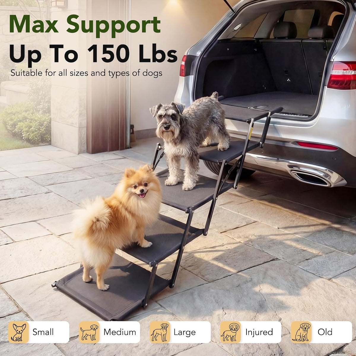 Dog Ramp for Car, Foldable Dog Stairs for Small Dogs, Not for Side Doors