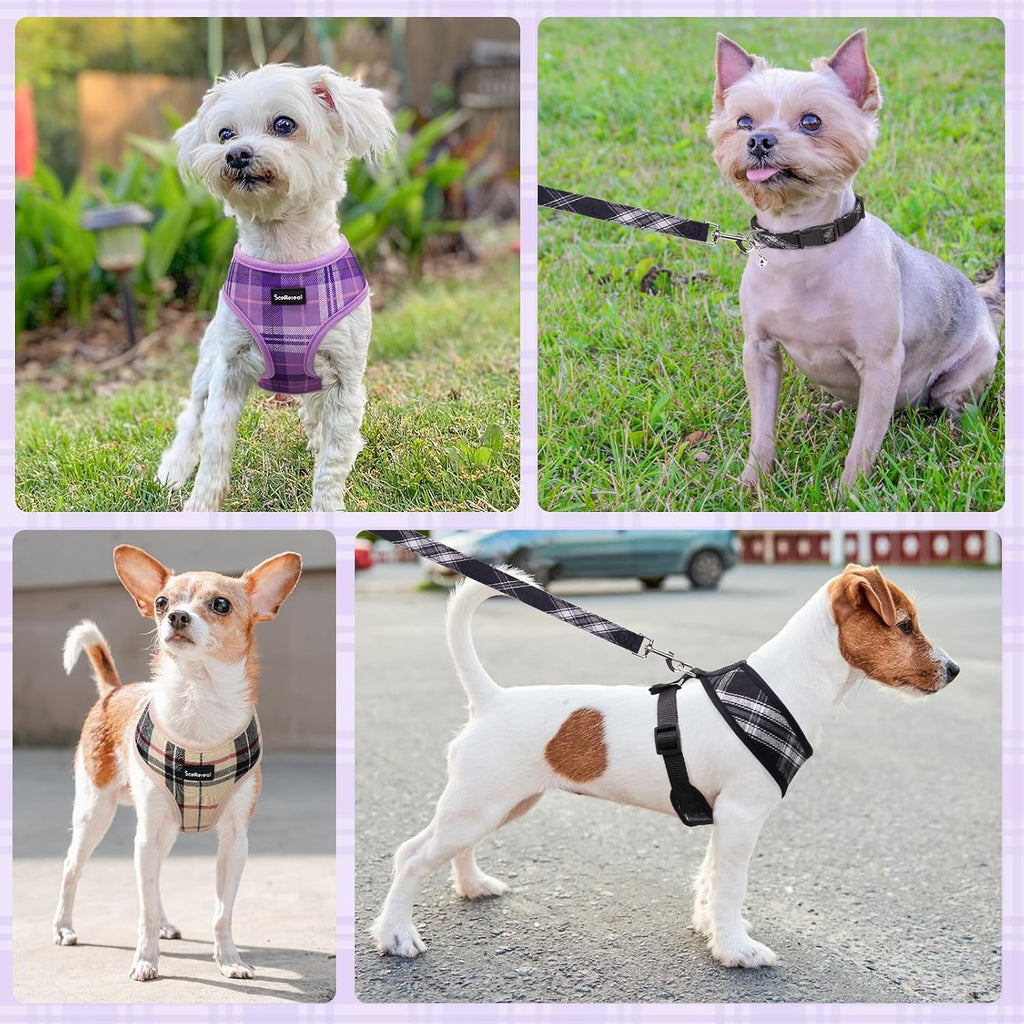 SCENEREAL No Pull Dog Harness and Leash Set Small Medium Sized Dog