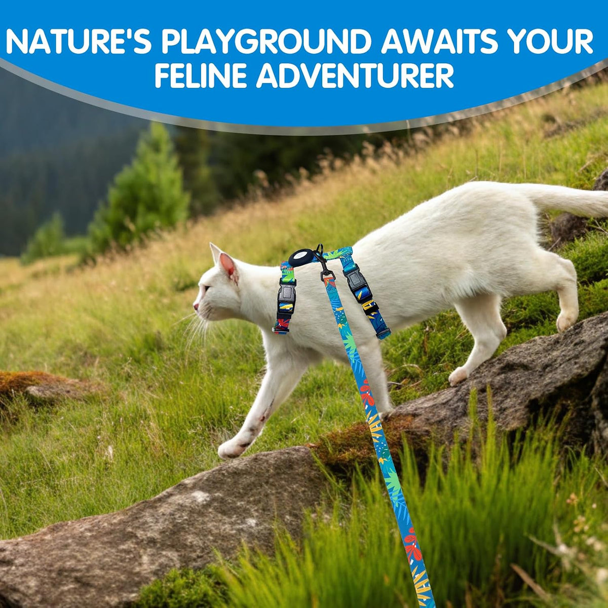 BINGPET Cat Harness with Airtag Holder, Escape Proof for Walking Outdoor