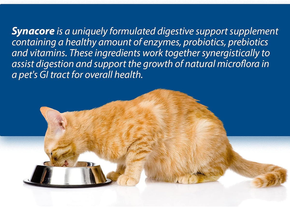 Synacore Feline - (30 Count) All Natural Formula to Provide Immune Support for Cats & Help Maintain Digestive Health - Probiotics and Vitamins for Cats - Natural Pet Products