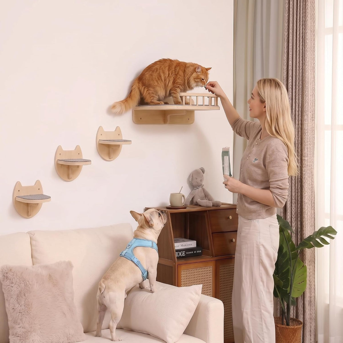 Cat Wall Shelves, Modern Cat Wall Furniture for Indoor Cats