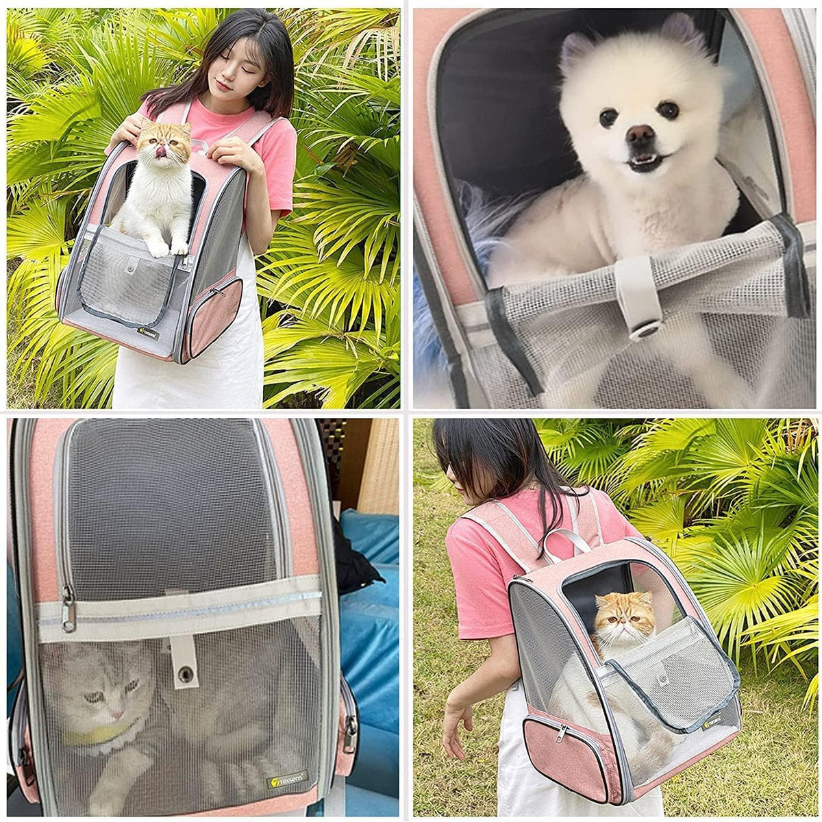 Texsens Innovative Traveler Bubble Backpack Pet Carriers for Cats and Dogs (Expandable-Pink)