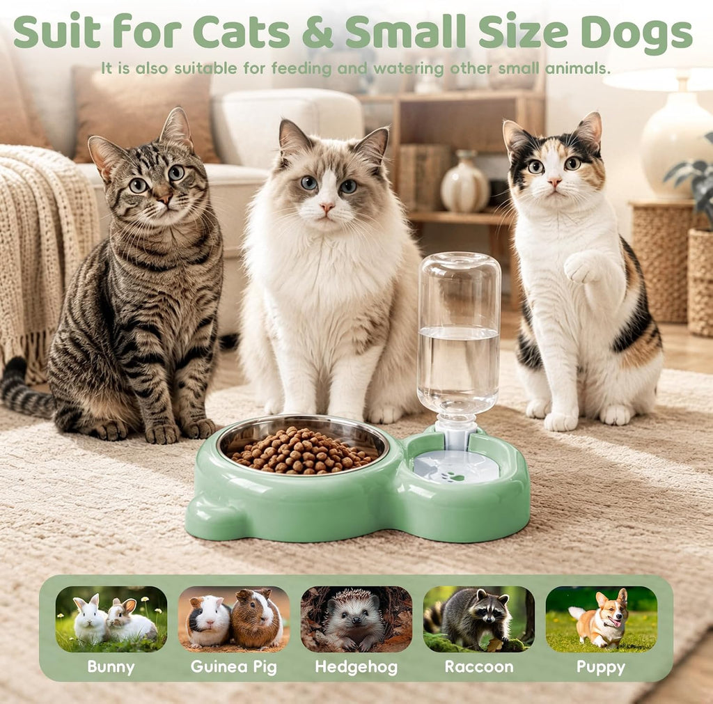 2-in-1 Dog Cat Bowl, Cat Food and Water Bowl Set, Green