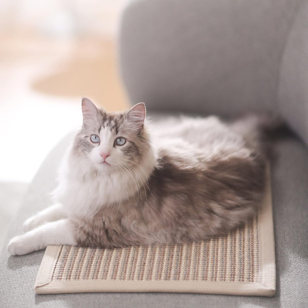 FUKUMARU Cat Scratcher Mat, 23.6 X 15.7 Inch Natural Sisal Cat Scratch Mat