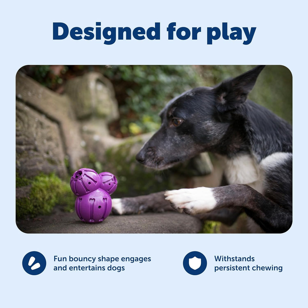 PetSafe Busy Buddy Barnacle Treat Dispensing Dog Toy, Medium