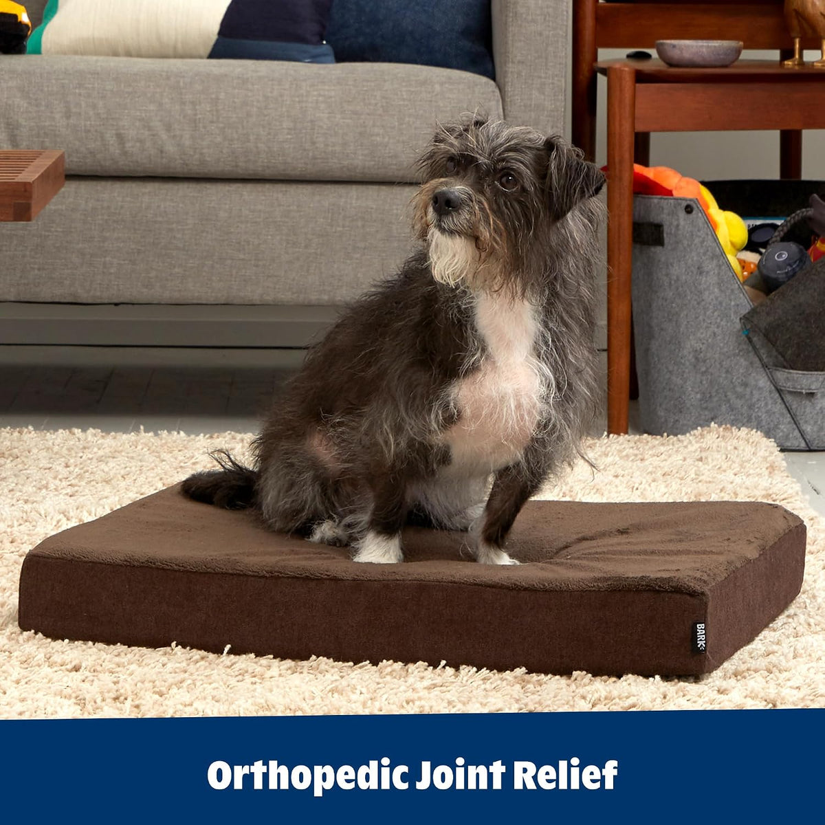 BarkBox Orthopedic Dog Bed - Medium